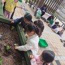 신흥유치원 이미지