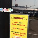 왕송못동로 | [공지] 2026 의왕 왕송호수 레일바이크 벚꽃 후기 - 개화 · 사진 명당 · 주차 꿀팁 · 요금 완전 정리