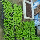 김주일농장 이미지