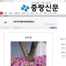 [중랑신문 - 수요디카시광장] 삼투압 / 정유남 이미지