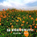 알파세무회계사무소