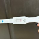 임신 준비 4. 임신했어요..? (임신테스트기 결과, 매직아이, 서연아이여성의원)