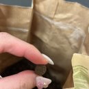 씨제이사료 | 프리미엄 사료 추천 영국 직수입 해링턴 강아지 사료 솔직후기