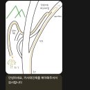 카사데인제 이미지