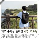 대정읍 산이수동 버스정류장 | 제주 송악산 둘레길 시간 주차장 진지동굴 전망대 산책코스