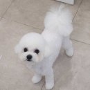 향남서비스 이미지