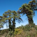 영광온천장 이미지