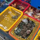 함양-5 | 민락회타운 활어판매시장[5번 함양상회]회포장 후기!