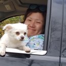 이레목장 티스토리