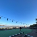 김포도그 이미지