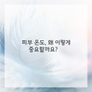 미모의온도