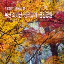 부산 쇠미산(금정봉)~만덕고개~금강공원 단풍산행 이미지