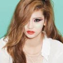 안다미로 Daum카페