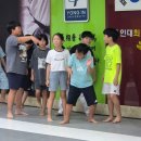 용인대최강태권도 이미지