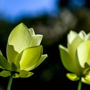 추동마을 이미지