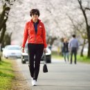 송광사&벚꽃길 이미지