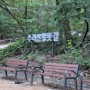 황토 PC | 2026 수리산 맨발 걷기, 황토길이 '천연 백신'이라 불리는 과학적 이유