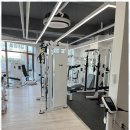 바른피티 이미지