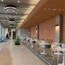 아주운동장 | 청주 애견동반카페 추천｜운동장·루프탑까지 있는 푸르댕댕 후기