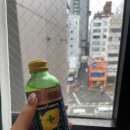 당고베이프 이미지