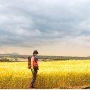 하모체육공원 이미지