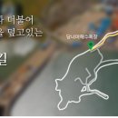 장고도8 이미지