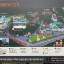 아이코리아부속새세대유치원 이미지