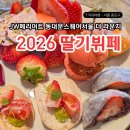 모찌네 살롱(Salon de mozzi) | JW메리어트 동대문 딸기뷔페 살롱드딸기 평일 방문 후기