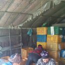 용만농장 이미지