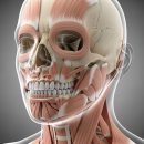 김종구희망드림치과의원 | 얼굴 비대칭 교정기 효과 없는 이유?