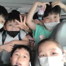 강무관 옥정 합기도 이미지