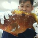 한림킹마트