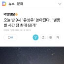 [기사] 오늘 밤 9시 유성우 쏟아진다 별똥별 시간 당 최대 60개 이미지