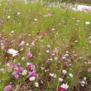 물푸레마을7단지 이미지