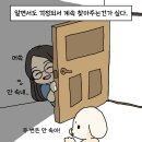 너만멍냥 이미지