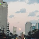 비씨플러스유통