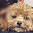 용두농장 이미지