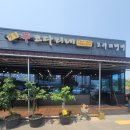 신코다리 이미지