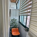 전주서문초등학교 이미지