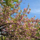 탑골 어린이공원 이미지