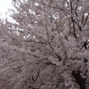 더 머물다 이미지