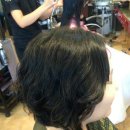 고고헤어gogoHair Daum카페