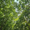 레드포스pc 아레나 잠실새내점 이미지