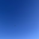 멍브레드 이미지