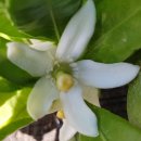 길자농장 이미지