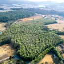 구룡산성 이미지