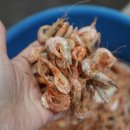 부강전통시장 이미지