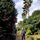 남원읍-32 이미지