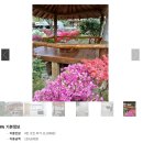 원두막집 민박 이미지