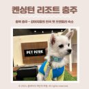 펫 유토피아 이미지